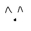 suwi